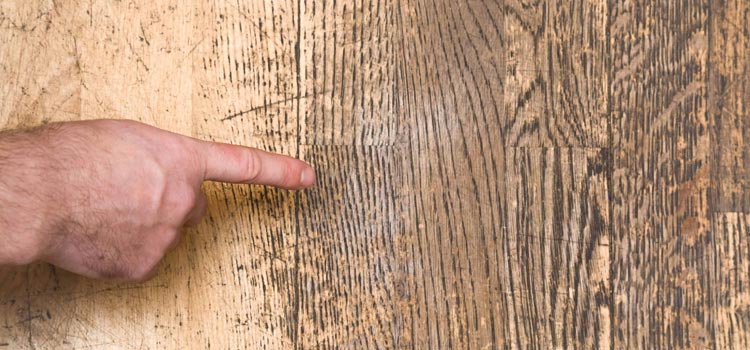 Wood Door Scratch Repair in Tracy